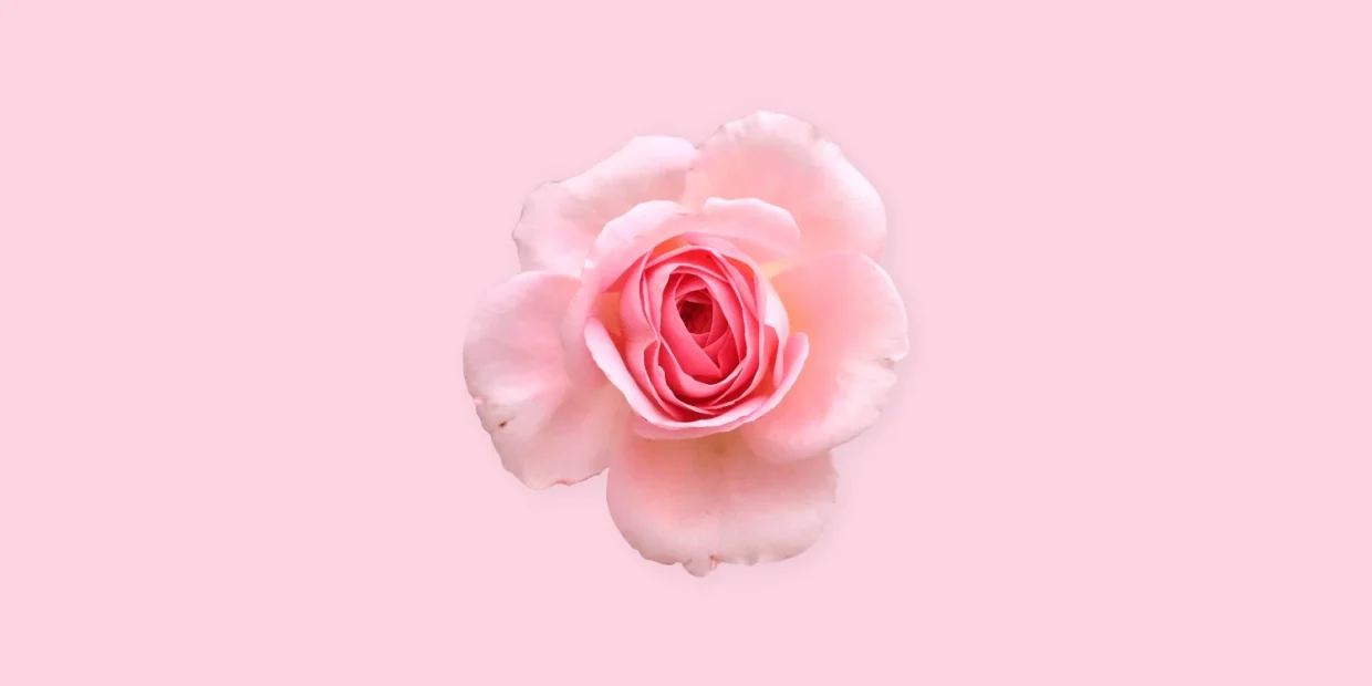 Vini speciali come un fiore